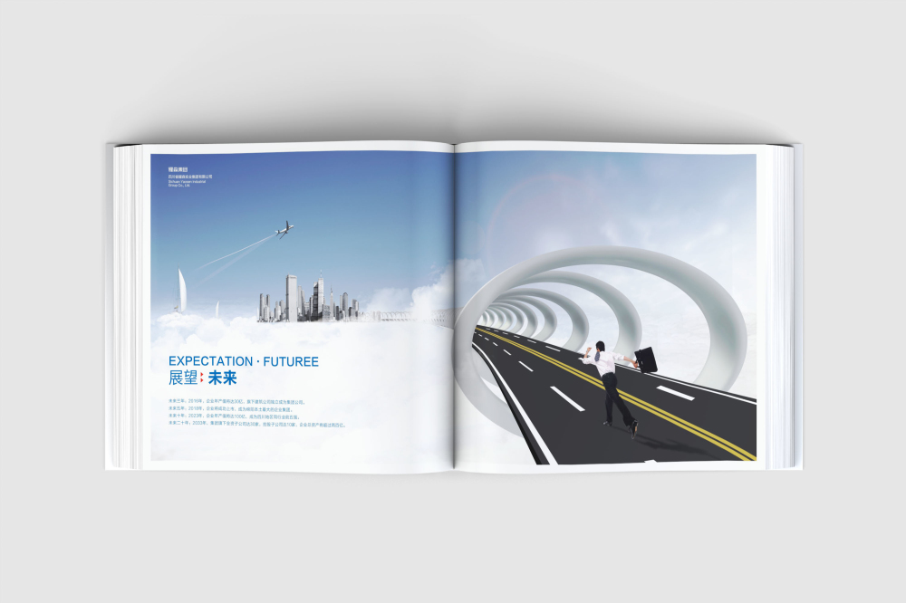 市中区画册设计